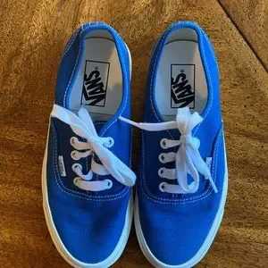 Vans Shoes Vans Old School Lace Up Skate Shoes With Rainbow